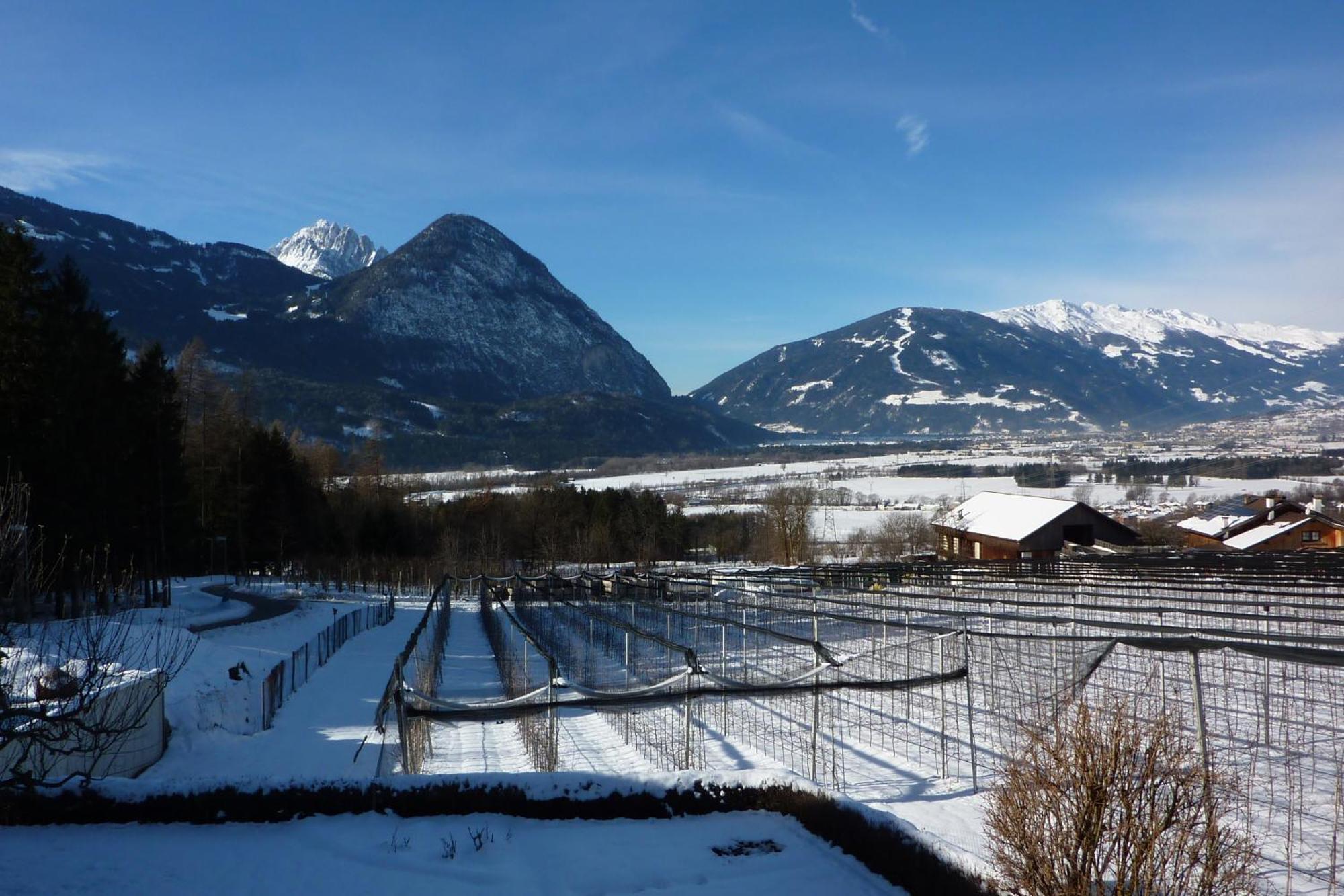 Appartamento Haus Zwischenberger Dölsach Esterno foto