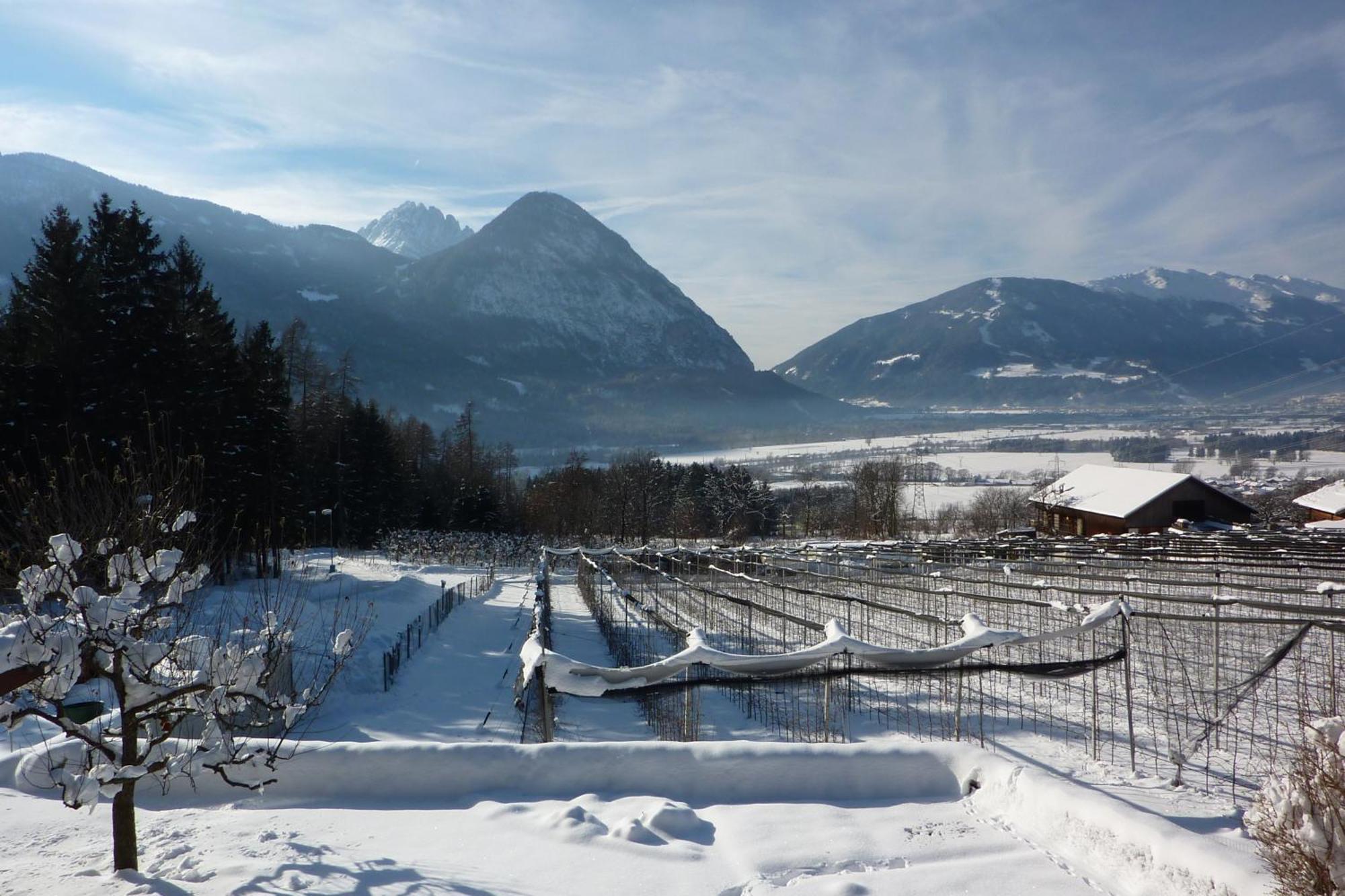 Appartamento Haus Zwischenberger Dölsach Esterno foto